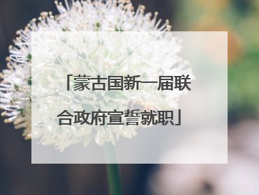 蒙古国新一届联合政府宣誓就职