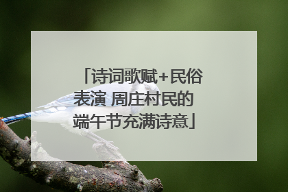 诗词歌赋+民俗表演 周庄村民的端午节充满诗意