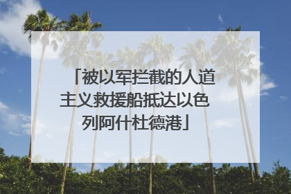 被以军拦截的人道主义救援船抵达以色列阿什杜德港