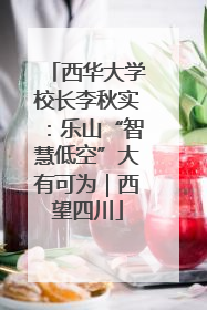 西华大学校长李秋实：乐山“智慧低空”大有可为｜西望四川