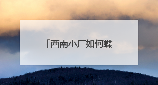 西南小厂如何蝶变为领军企业
