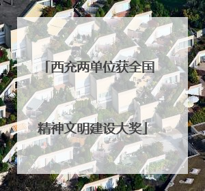 西充两单位获全国精神文明建设大奖