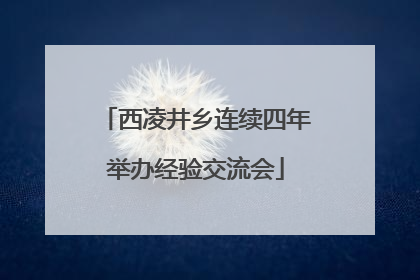 西凌井乡连续四年举办经验交流会
