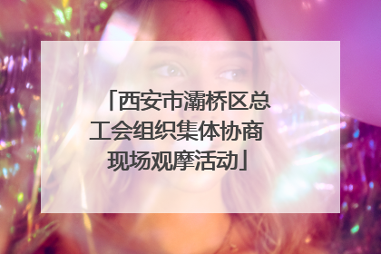 西安市灞桥区总工会组织集体协商现场观摩活动