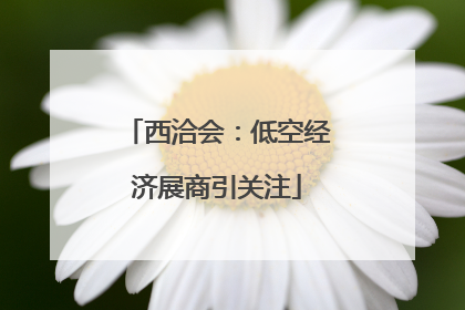 西洽会：低空经济展商引关注