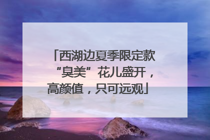 西湖边夏季限定款“臭美”花儿盛开，高颜值，只可远观