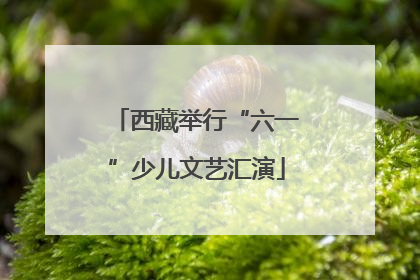 西藏举行“六一”少儿文艺汇演