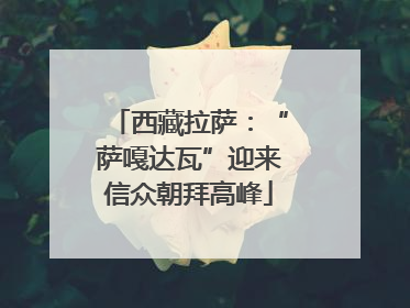 西藏拉萨：“萨嘎达瓦”迎来信众朝拜高峰