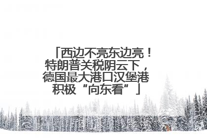 西边不亮东边亮！特朗普关税阴云下，德国最大港口汉堡港积极“向东看”