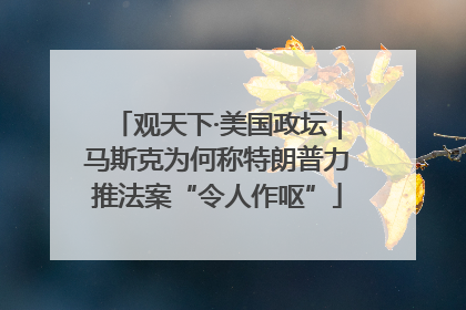 观天下·美国政坛｜马斯克为何称特朗普力推法案“令人作呕”