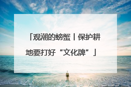 观潮的螃蟹丨保护耕地要打好“文化牌”
