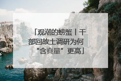 观潮的螃蟹丨干部回故土调研为何“含真量”更高