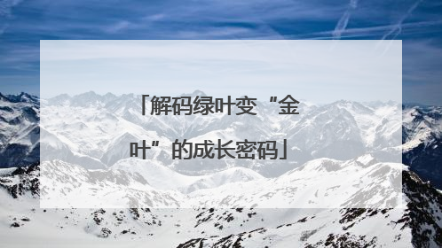 解码绿叶变“金叶”的成长密码