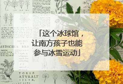 这个冰球馆，让南方孩子也能参与冰雪运动