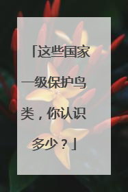 这些国家一级保护鸟类，你认识多少？