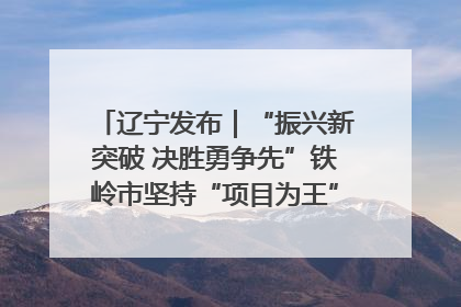 辽宁发布｜“振兴新突破 决胜勇争先”铁岭市坚持“项目为王”推进经济高质量发展