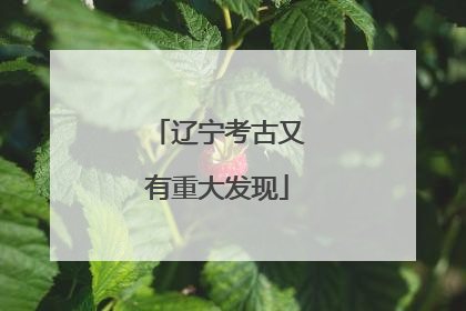 辽宁考古又有重大发现