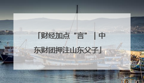 财经加点“言”｜中东财团押注山东父子