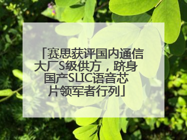 赛思获评国内通信大厂S级供方，跻身国产SLIC语音芯片领军者行列