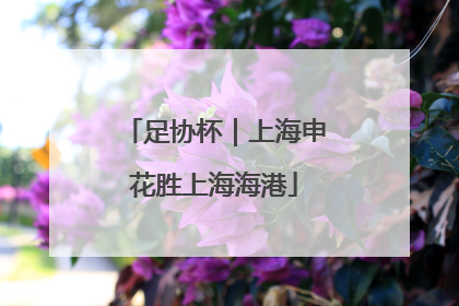 足协杯｜上海申花胜上海海港