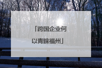 跨国企业何以青睐福州