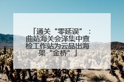通关“零延误”：曲靖海关会泽集中查检工作站为云品出海架“金桥”