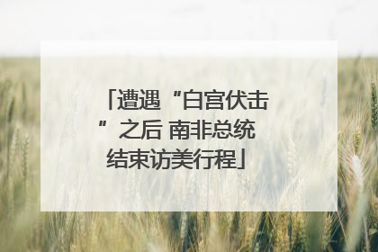 遭遇“白宫伏击”之后 南非总统结束访美行程