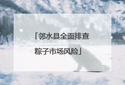 邻水县全面排查粽子市场风险