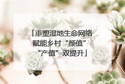 重塑湿地生命网络 赋能乡村“颜值”“产值”双提升
