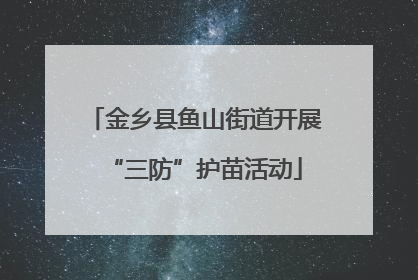 金乡县鱼山街道开展“三防”护苗活动