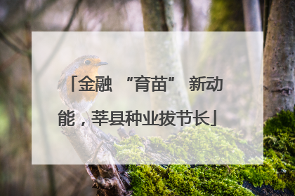 金融 “育苗” 新动能，莘县种业拔节长