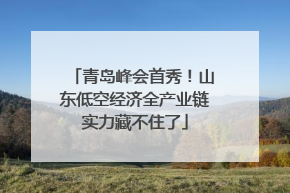 青岛峰会首秀！山东低空经济全产业链实力藏不住了