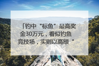 钓中“标鱼”最高奖金30万元，看似钓鱼竞技场，实则以高额“回报”作“饵”……｜今晚九点半