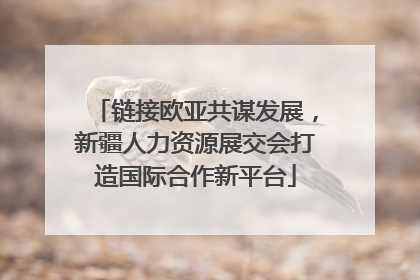 链接欧亚共谋发展，新疆人力资源展交会打造国际合作新平台