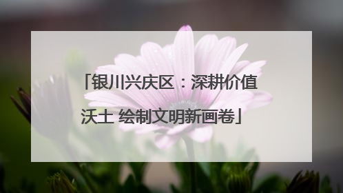 银川兴庆区：深耕价值沃土 绘制文明新画卷
