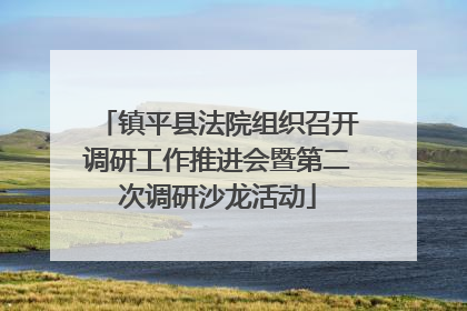 镇平县法院组织召开调研工作推进会暨第二次调研沙龙活动