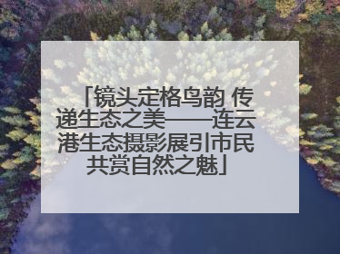 镜头定格鸟韵 传递生态之美——连云港生态摄影展引市民共赏自然之魅