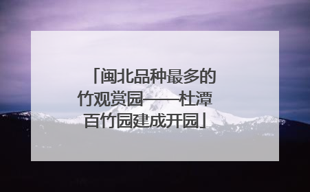 闽北品种最多的竹观赏园——杜潭百竹园建成开园