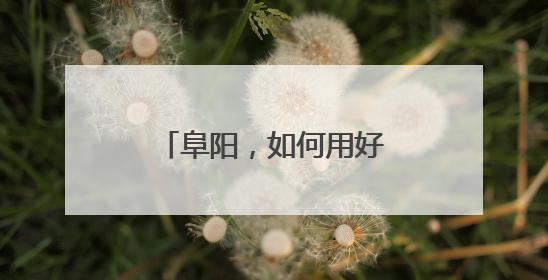 阜阳，如何用好“关键一招”？