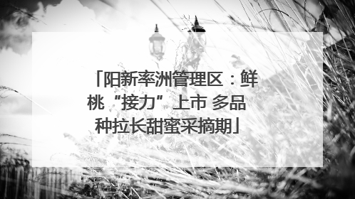 阳新率洲管理区：鲜桃“接力”上市 多品种拉长甜蜜采摘期