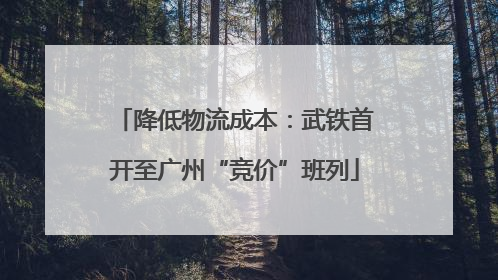 降低物流成本：武铁首开至广州“竞价”班列