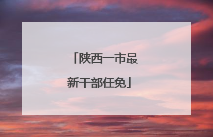 陕西一市最新干部任免