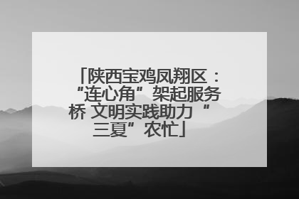 陕西宝鸡凤翔区：“连心角”架起服务桥 文明实践助力“三夏”农忙