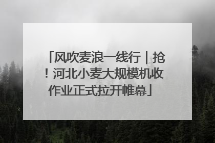 风吹麦浪一线行｜抢！河北小麦大规模机收作业正式拉开帷幕