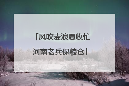 风吹麦浪夏收忙 河南老兵保粮仓