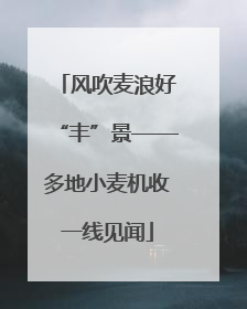 风吹麦浪好“丰”景——多地小麦机收一线见闻