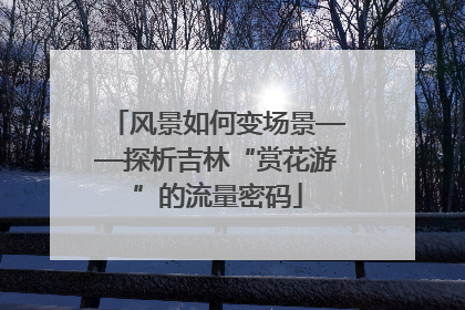 风景如何变场景——探析吉林“赏花游”的流量密码