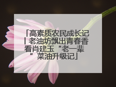 高素质农民成长记丨老油坊飘出青春香 看肖建玉“老一辈”菜油升级记