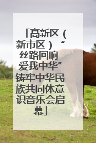 高新区（新市区）“丝路回响 爱我中华”铸牢中华民族共同体意识音乐会启幕