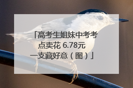 高考生姐妹中考考点卖花 6.78元一支藏好意（图）